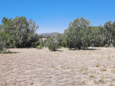 Gorgeous 36 acre Norther AZ off grid property with septic !! - image 8