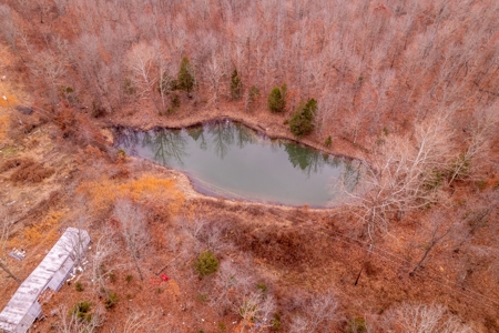 Vacant Land for sale in the Ozark Hills - image 18