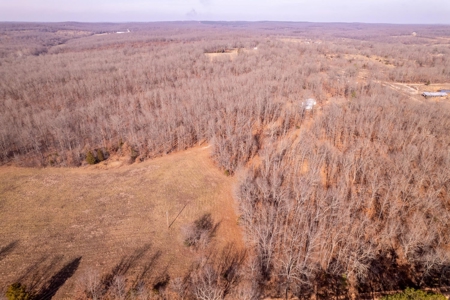 Acreage for Sale in Alton Missouri - image 3