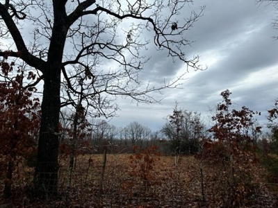 Acreage for Sale in Alton Missouri - image 7