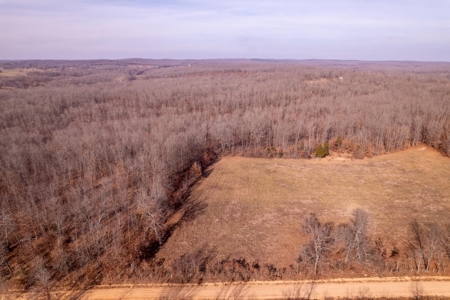 Acreage for Sale in Alton Missouri - image 5