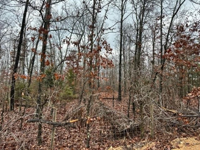 Acreage for Sale in Alton Missouri - image 8