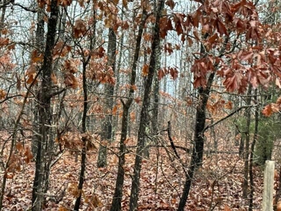 Acreage for Sale in Alton Missouri - image 9