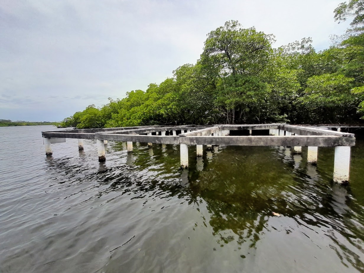 Fire Sale: 2 Waterfront Lots + Dock — Isla San Cristóbal - 6