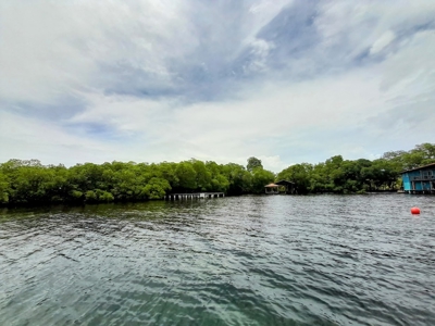 Price REDUCED Lot Right Across from Bocas Town, Panama - image 2
