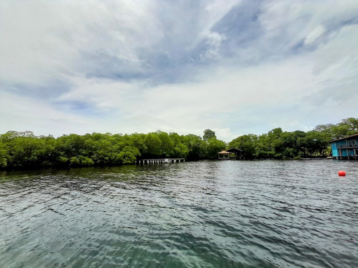 Fire Sale: 2 Waterfront Lots + Dock — Isla San Cristóbal - 7