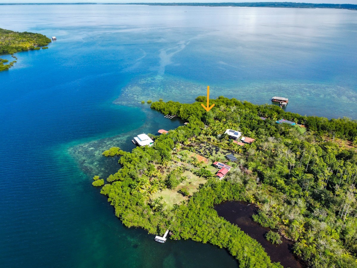 Fire Sale: 2 Waterfront Lots + Dock — Isla San Cristóbal - 2