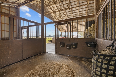 Horse Lovers Dream In Beautiful Trenton Florida! - image 32