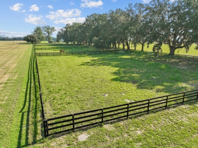 Horse Lovers Dream In Beautiful Trenton Florida! - image 26