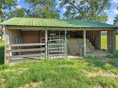 Horse Lovers Dream In Beautiful Trenton Florida! - image 27