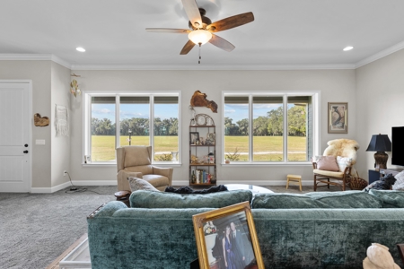 Horse Lovers Dream In Beautiful Trenton Florida! - image 5
