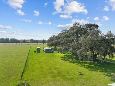 Horse Lovers Dream In Beautiful Trenton Florida! - image 24