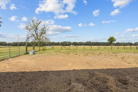 Horse Lovers Dream In Beautiful Trenton Florida! - image 25