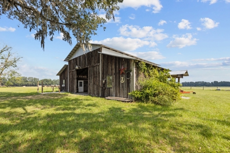 Horse Lovers Dream In Beautiful Trenton Florida! - image 34