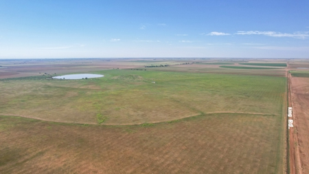 655.31 +/- Acres in Hockley County For Online-Only Auction - image 32