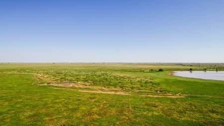 655.31 +/- Acres in Hockley County For Online-Only Auction - image 35