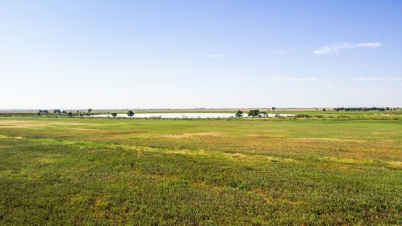 655.31 +/- Acres in Hockley County For Online-Only Auction - image 14