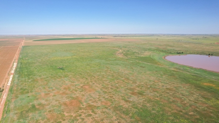 655.31 +/- Acres in Hockley County For Online-Only Auction - image 8