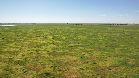 655.31 +/- Acres in Hockley County For Online-Only Auction - image 16