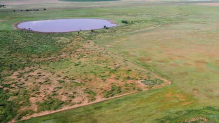 655.31 +/- Acres in Hockley County For Online-Only Auction - image 2