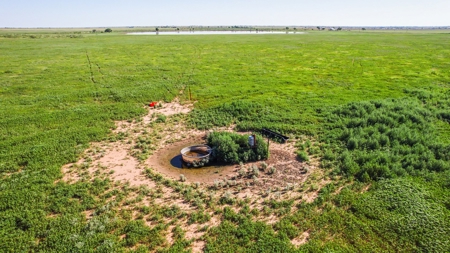 655.31 +/- Acres in Hockley County For Online-Only Auction - image 13