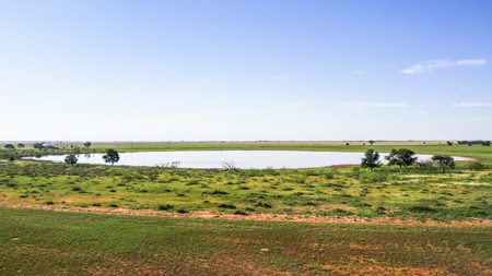 655.31 +/- Acres in Hockley County For Online-Only Auction - image 7