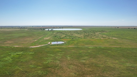 655.31 +/- Acres in Hockley County For Online-Only Auction - image 4