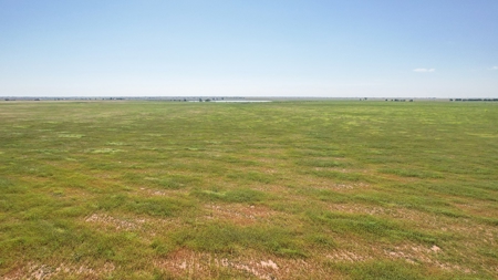 655.31 +/- Acres in Hockley County For Online-Only Auction - image 29