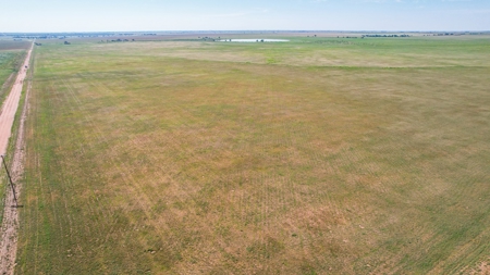 655.31 +/- Acres in Hockley County For Online-Only Auction - image 40
