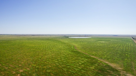 655.31 +/- Acres in Hockley County For Online-Only Auction - image 9