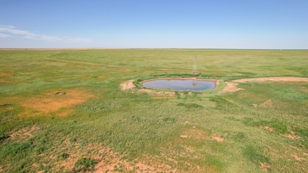 655.31 +/- Acres in Hockley County For Online-Only Auction - image 5