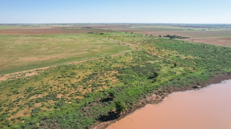 655.31 +/- Acres in Hockley County For Online-Only Auction - image 23