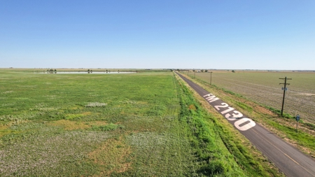 655.31 +/- Acres in Hockley County For Online-Only Auction - image 1