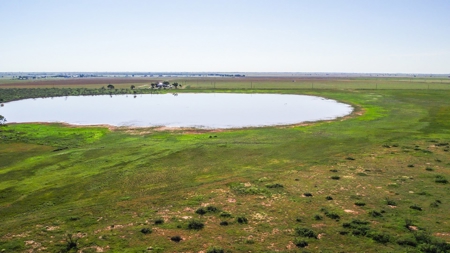 655.31 +/- Acres in Hockley County For Online-Only Auction - image 19