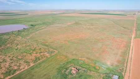 655.31 +/- Acres in Hockley County For Online-Only Auction - image 38