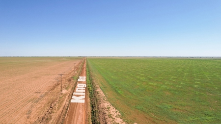 655.31 +/- Acres in Hockley County For Online-Only Auction - image 6