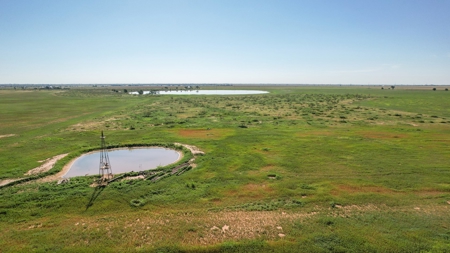 655.31 +/- Acres in Hockley County For Online-Only Auction - image 10