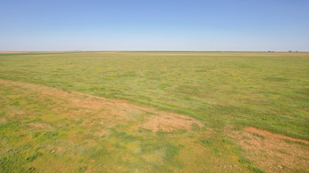 655.31 +/- Acres in Hockley County For Online-Only Auction - image 20
