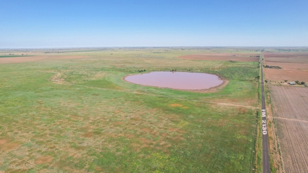655.31 +/- Acres in Hockley County For Online-Only Auction - image 21