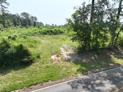 Land for Sale, East Texas Homestead Recreational Land - image 5