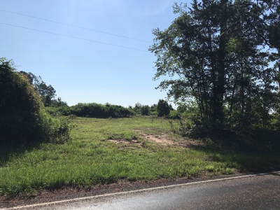 Land for Sale, East Texas Homestead Recreational Land - image 11