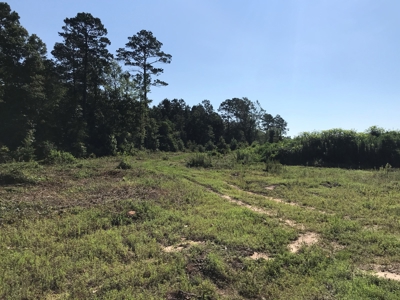 Land for Sale, East Texas Homestead Recreational Land - image 6