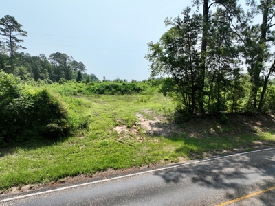 Land for Sale, East Texas Homestead Recreational Land - image 2