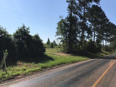 Land for Sale, East Texas Homestead Recreational Land - image 8