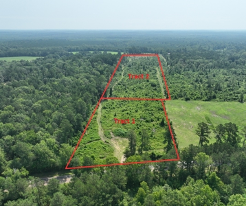 Land for Sale, East Texas Homestead Recreational Land - image 3