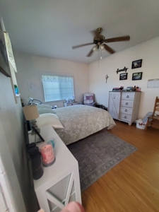 Colorado Farm House and Hay Farm close to outdoor recreation - image 30