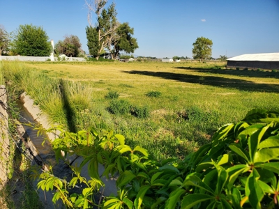 Colorado Farm House and Hay Farm close to outdoor recreation - image 2