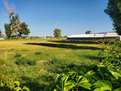 Colorado Farm House and Hay Farm close to outdoor recreation - image 4
