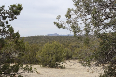 Land for sale with Septic Installed - image 5