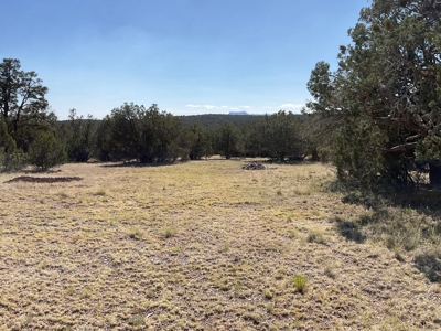 Land for sale with Septic Installed - image 8